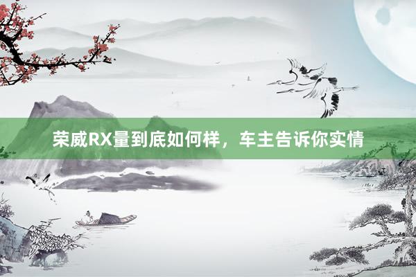 荣威RX量到底如何样，车主告诉你实情