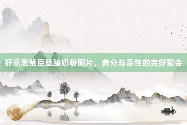 好意思赞臣蓝臻奶粉图片，养分与品性的完好聚会