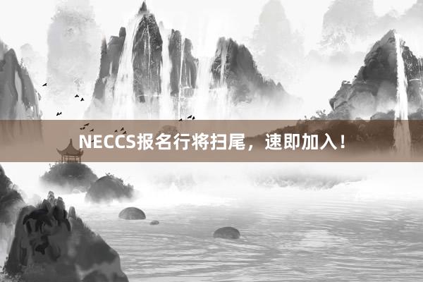 NECCS报名行将扫尾，速即加入！