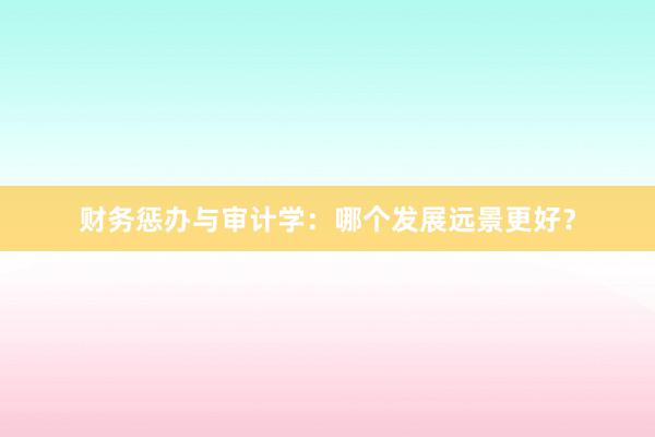 财务惩办与审计学：哪个发展远景更好？