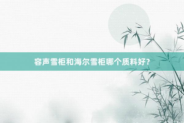 容声雪柜和海尔雪柜哪个质料好？